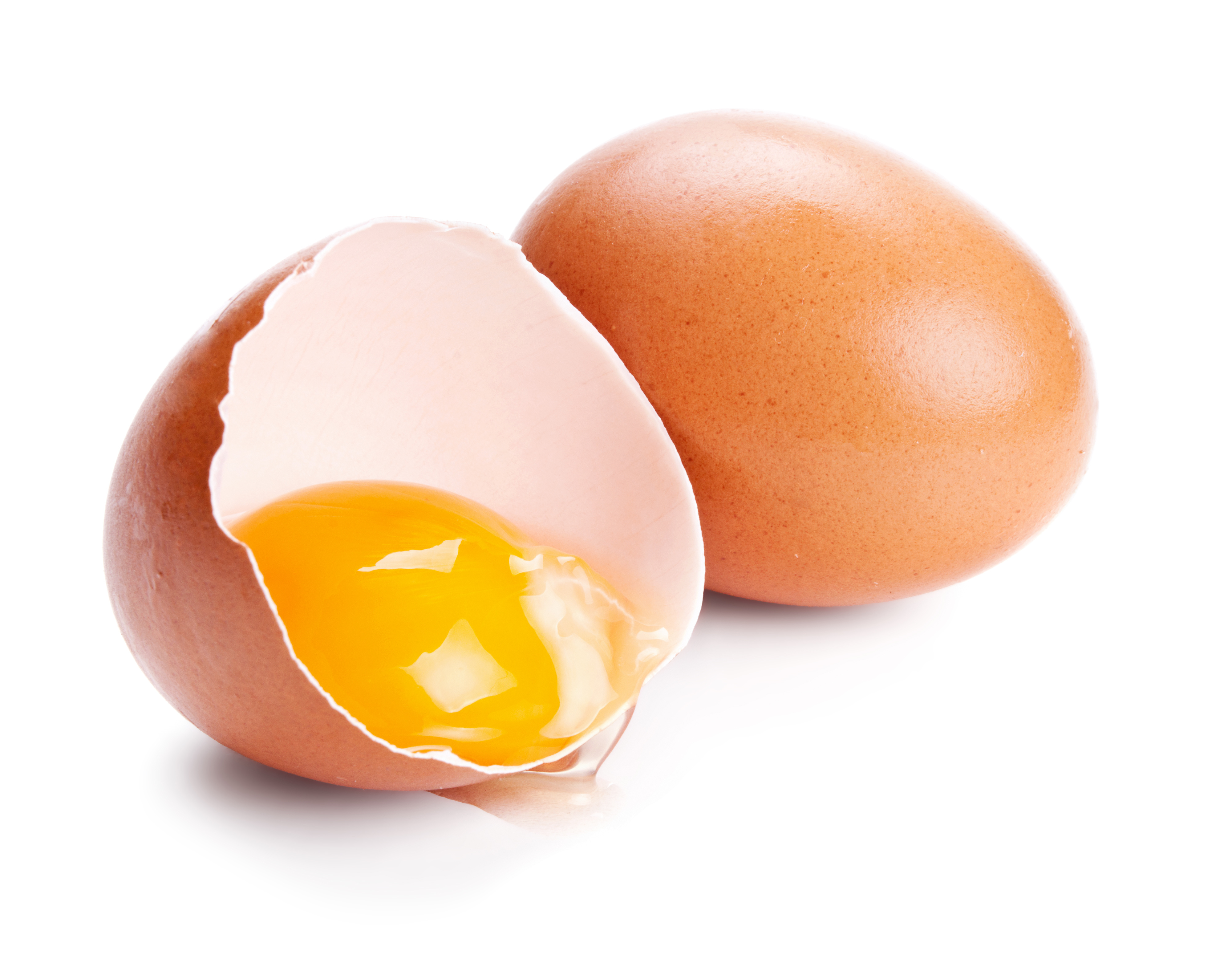 Яйцо картинка. Св с0 с1 яйца. Яйцо на прозрачном фоне. Яйцо на белом фоне. Яйцо без фона.